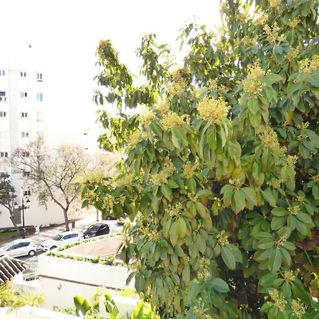 Blanca Center - Eaw Homes Marbella