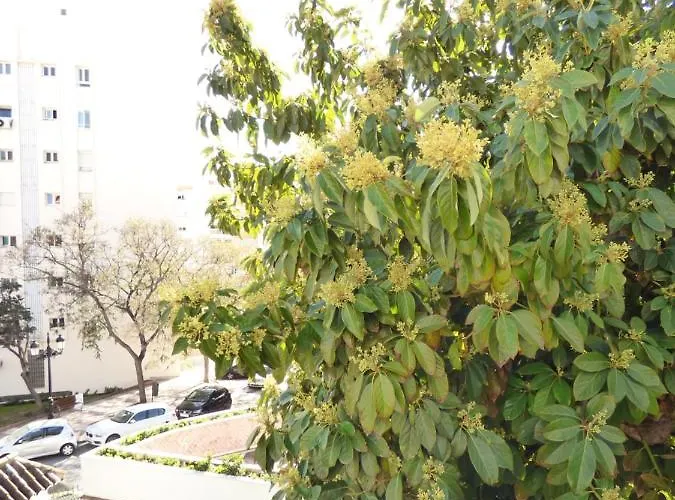 Blanca Center - Eaw Homes Μαρμπέλλα